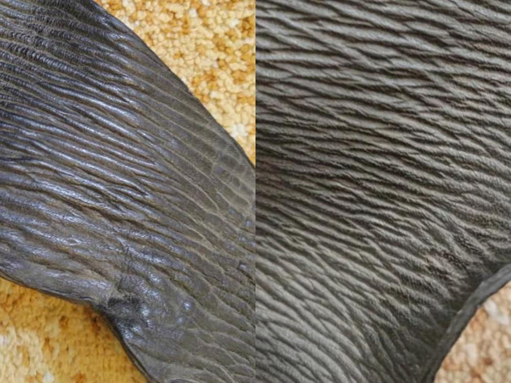 超全面珍稀皮革博览:33种罕见皮革材料图文集合_腾讯新闻