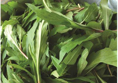 马兰头|3月吃它正当时，若遇到别手软，解油腻更是一绝，有条件请移栽