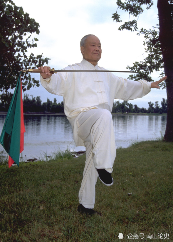 浅谈杨振铎的实战能力,国术级别高达9段,杨式一门第4代传人!