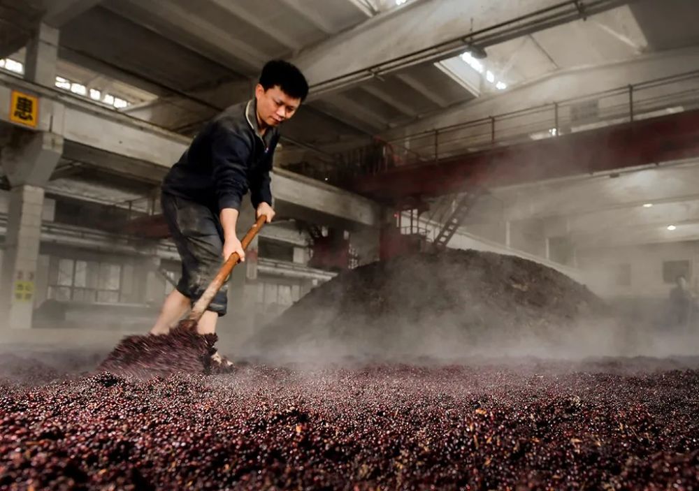 试温观色闻味听声这是茅台酒首席酿造师的制酒秘笈