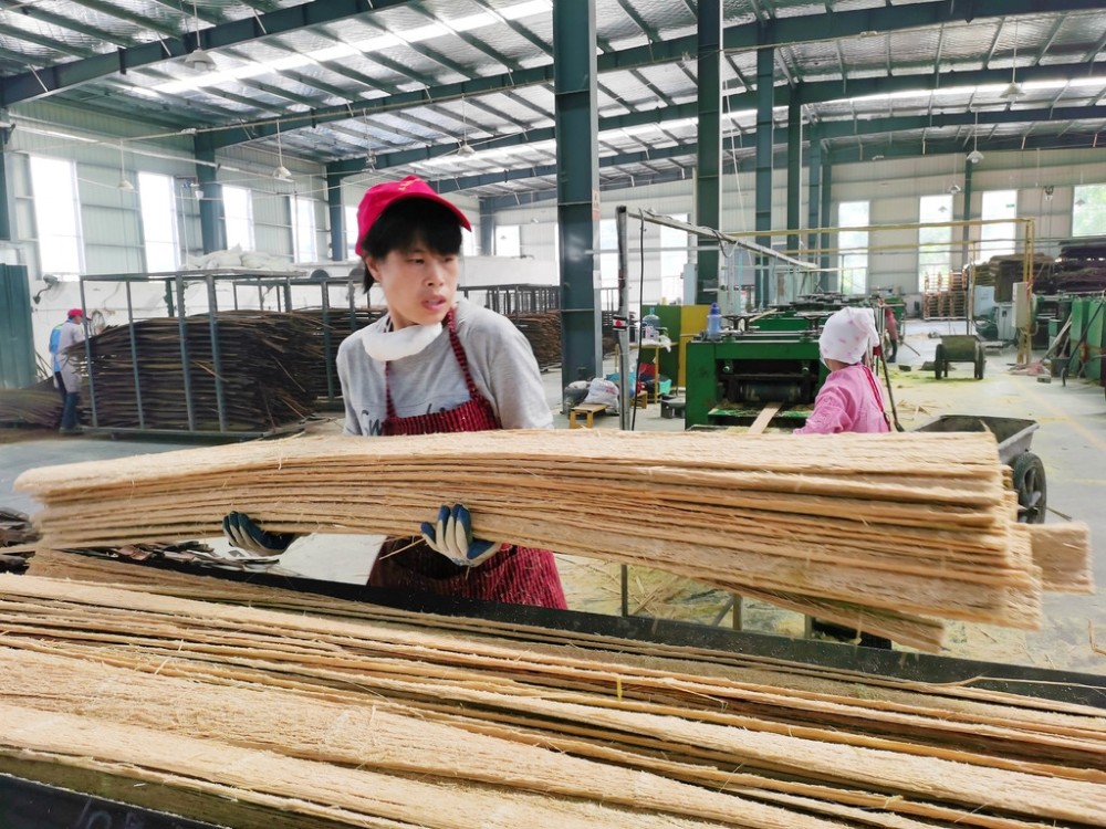 泸州合江生态林竹工业园区内,华盛竹业公司的竹材加工生产线
