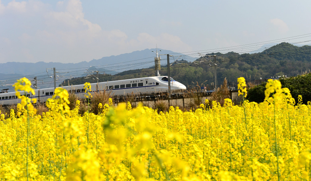 貴州從江春花盛開列車穿行其間美如畫卷