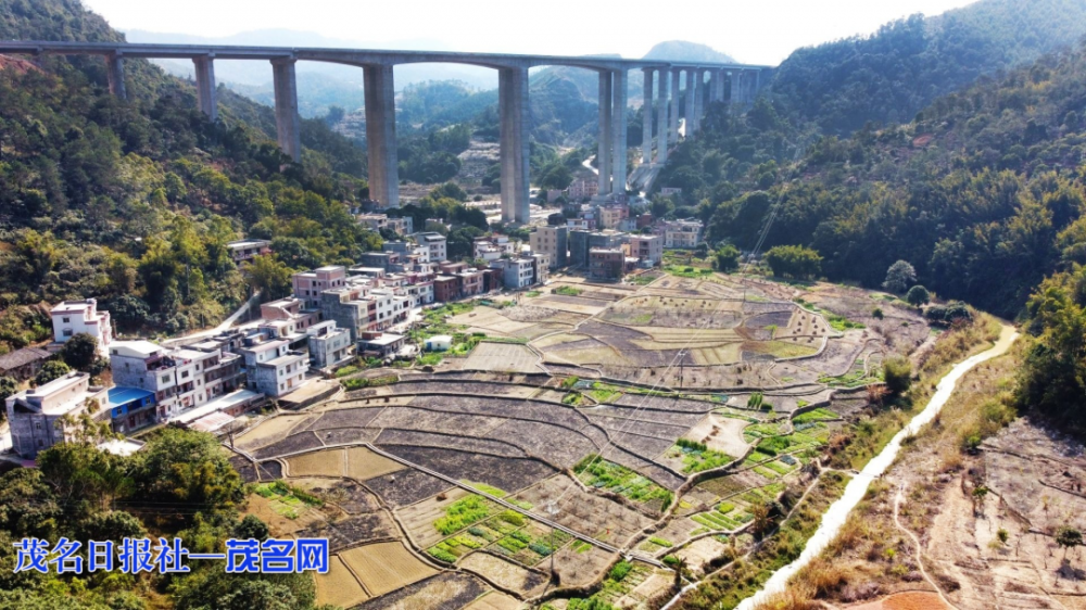 信宜市平塘镇经济图片