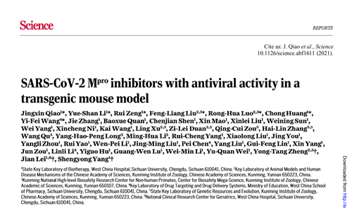 新型冠状病毒|华西医学院Science：新型冠状病毒小分子抑制剂研究论文