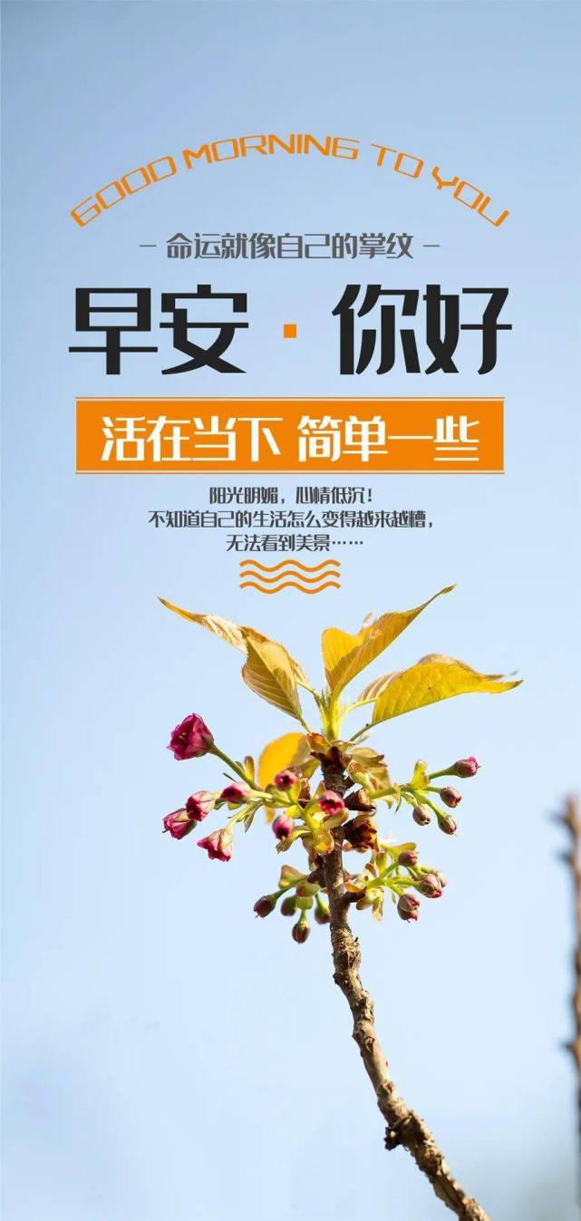 2月24日早安心语正能量语录说说清晨早上好图片