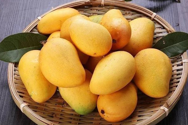 公芒果的个头都会比母芒果要小上很多,所以同样品种的芒果我们挑选