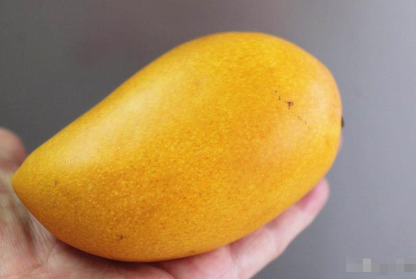 1,看形状:公芒果的身形较长,果肉较多,而且果核也较小,果核薄而长.