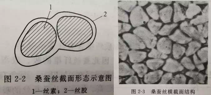 蚕丝纤维截面图片