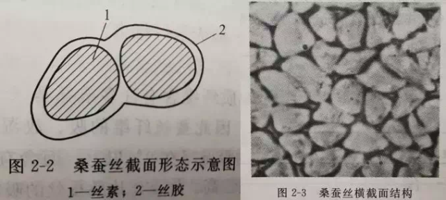 我們去金三塔工廠實拍的桑蠶絲這是因為,真絲和我們的皮膚摩擦係數在