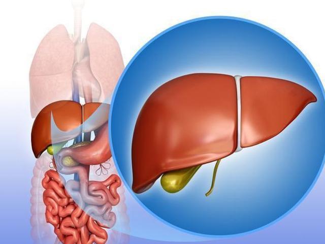 喝酒|经常喝酒的人要注意了，若是出现以下几种情况，或该考虑戒酒了