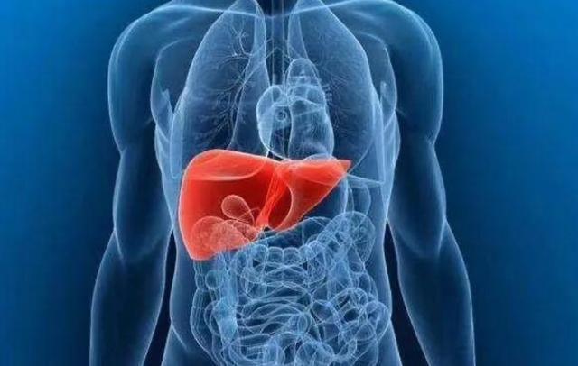 喝酒|经常喝酒的人要注意了，若是出现以下几种情况，或该考虑戒酒了