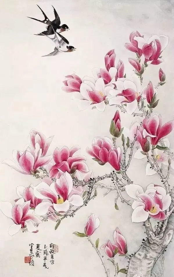 历代名家笔下的玉兰花美不胜收