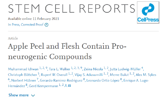 神经元|一天一苹果，最强大脑靠近我！新研究发现，苹果能促进神经元分化