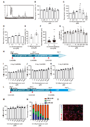 神经元|一天一苹果，最强大脑靠近我！新研究发现，苹果能促进神经元分化