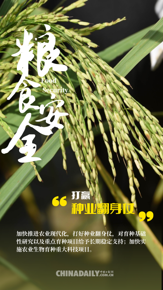 图说中央一号文件粮食安全这样保中国饭碗底气十足