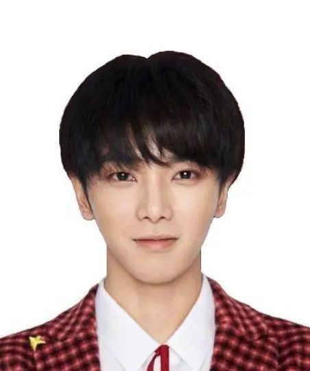 男星证件照王俊凯严肃华晨宇温和看到肖战真是根正苗红