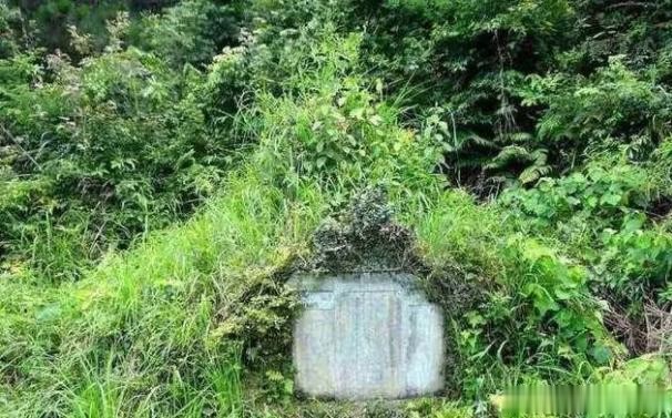 风水先生说:祖坟若有"这4种现象",后人必有福,非富即贵!