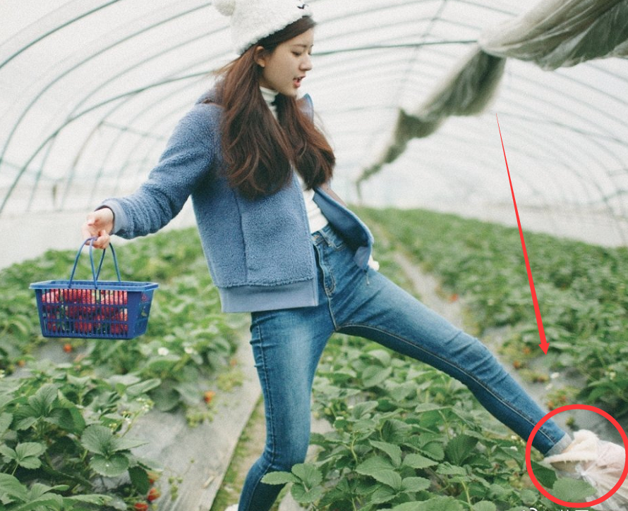 趙露思去摘草莓看她果園裡穿的什麼鞋確定是尊重果農