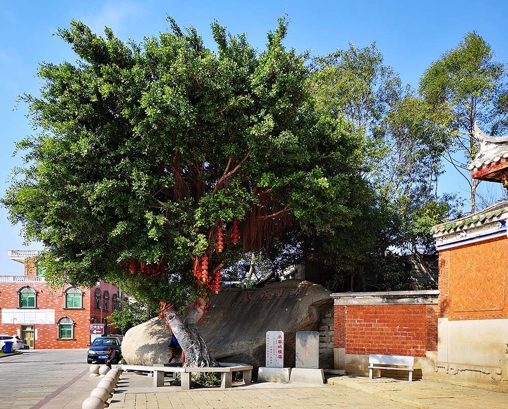 福建遊09泉州石獅市寶蓋山公園永寧古城洛伽寺