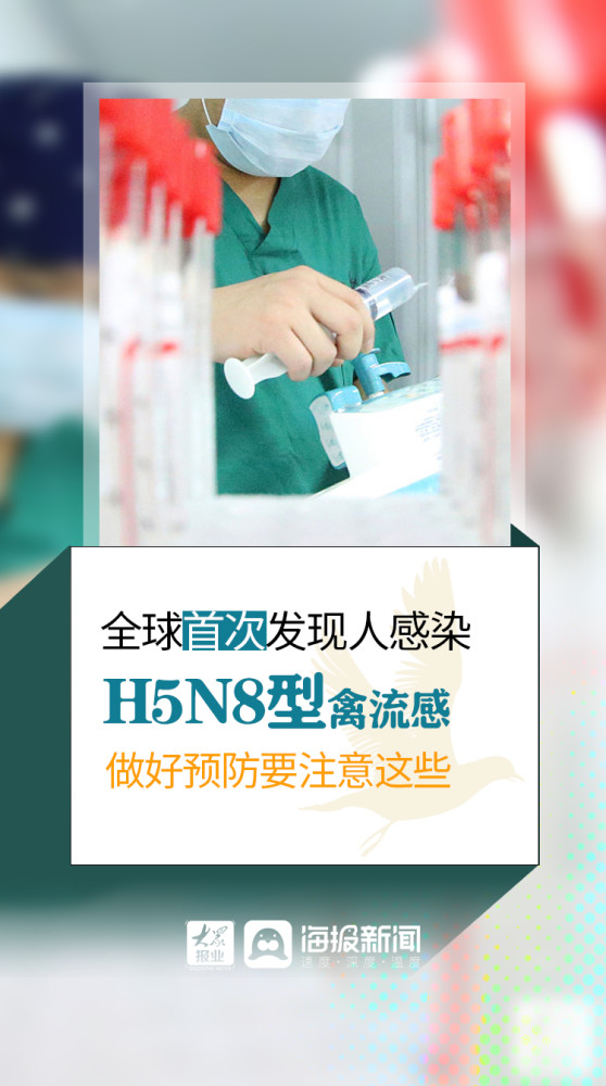 禽流感|微海报丨全球首次发现人感染H5N8型禽流感 做好预防要注意这些