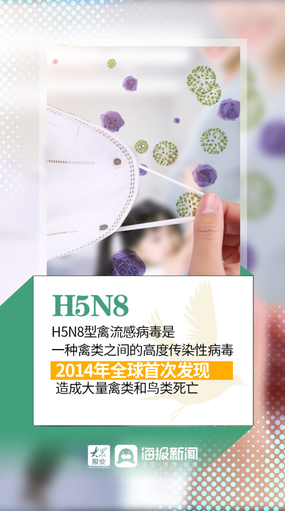 禽流感|微海报丨全球首次发现人感染H5N8型禽流感 做好预防要注意这些