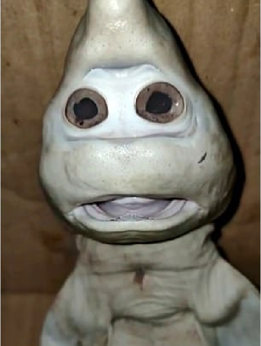 印尼渔民捕获变异鲨鱼宝宝翻过身被其人脸外貌惊出一身冷汗