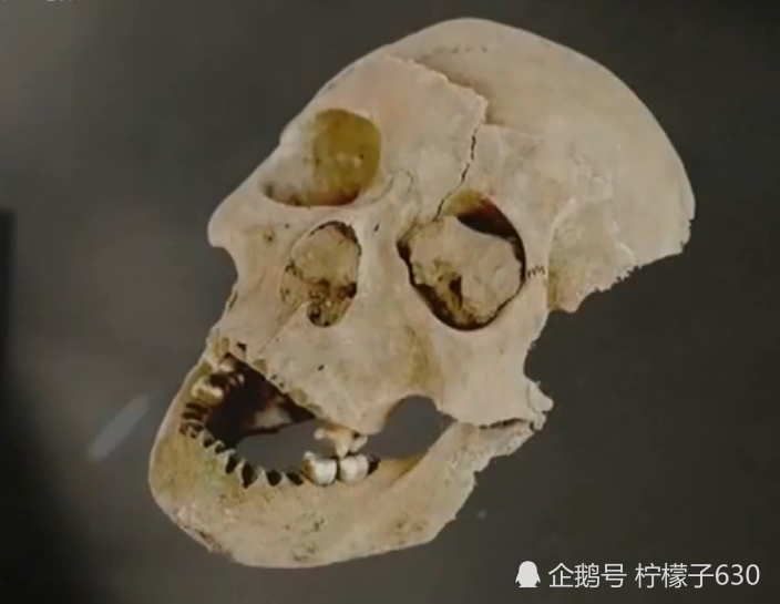 可为什么墓葬却如此简陋寒酸,椁内仅余半颗头骨