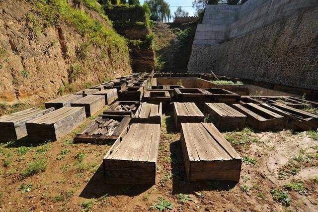 一座秦墓为何埋葬186具古尸死状很残忍专家揭开一段悲惨历史