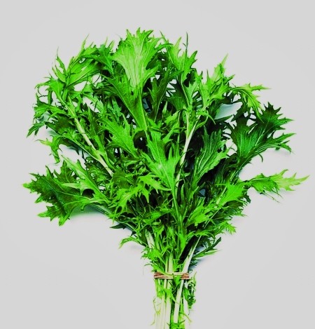 新鲜的艾草,洗净晾干,放入锅中,用小火炒至有点发黄,然后倒入少许白醋