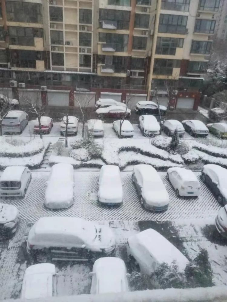 下雨下雪下冰雹山东大范围雨雪天来袭秋裤棉袄继续穿起来