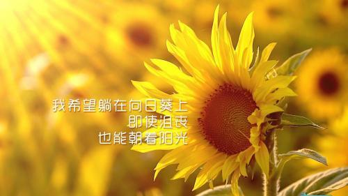 经典励志小说排行_十本经典青春励志书籍排行榜