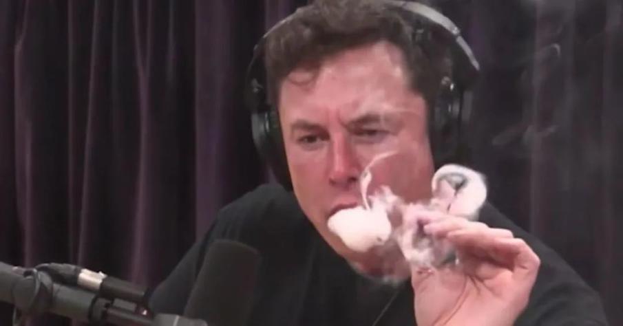 全球车企为何集体缺芯眼