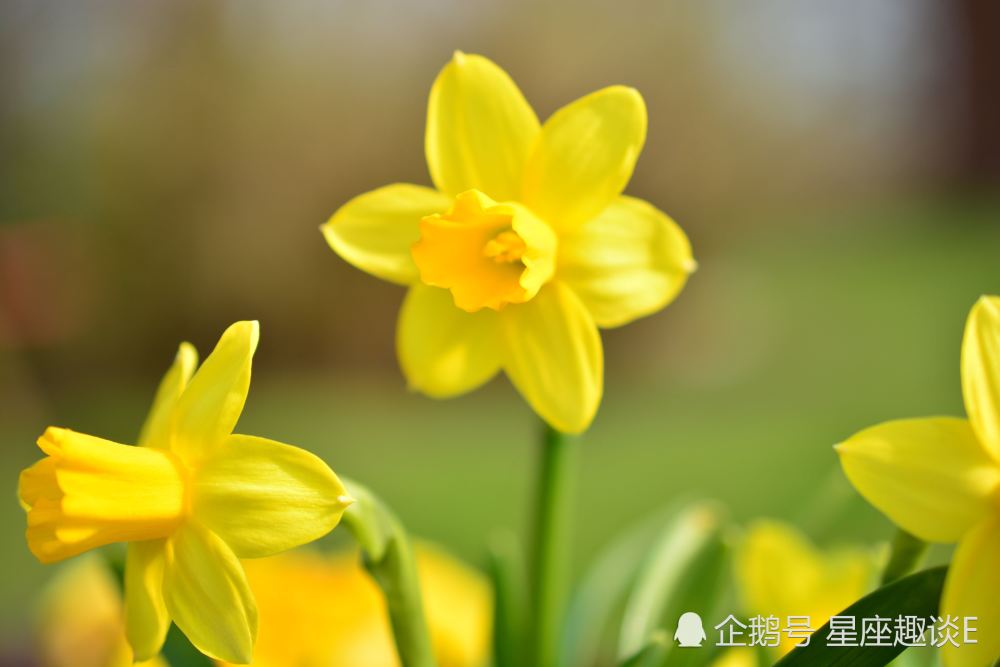 2月25日 3月1日星座运势 白羊保持冷静 狮子认真负责 水瓶头脑灵活 腾讯新闻