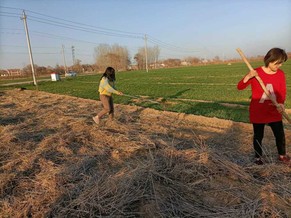 农田的那些活儿,农民一辈子的支撑,农村的家