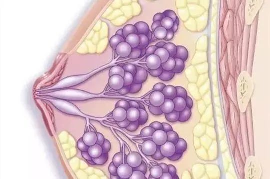 體檢時發現乳腺結節這病嚴重嗎