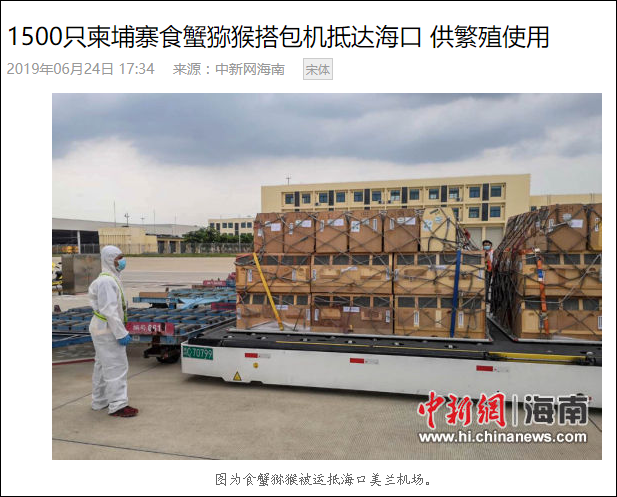 美国_社会|美国研发新冠疫苗实验猴紧缺，《纽约时报》赖中国“闭关锁猴”