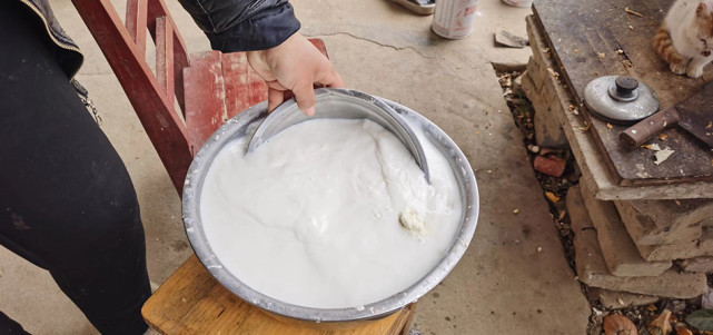 美国_社会|美国研发新冠疫苗实验猴紧缺，《纽约时报》赖中国“闭关锁猴”