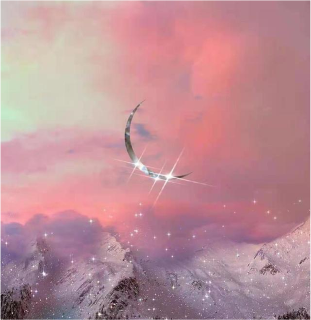 641