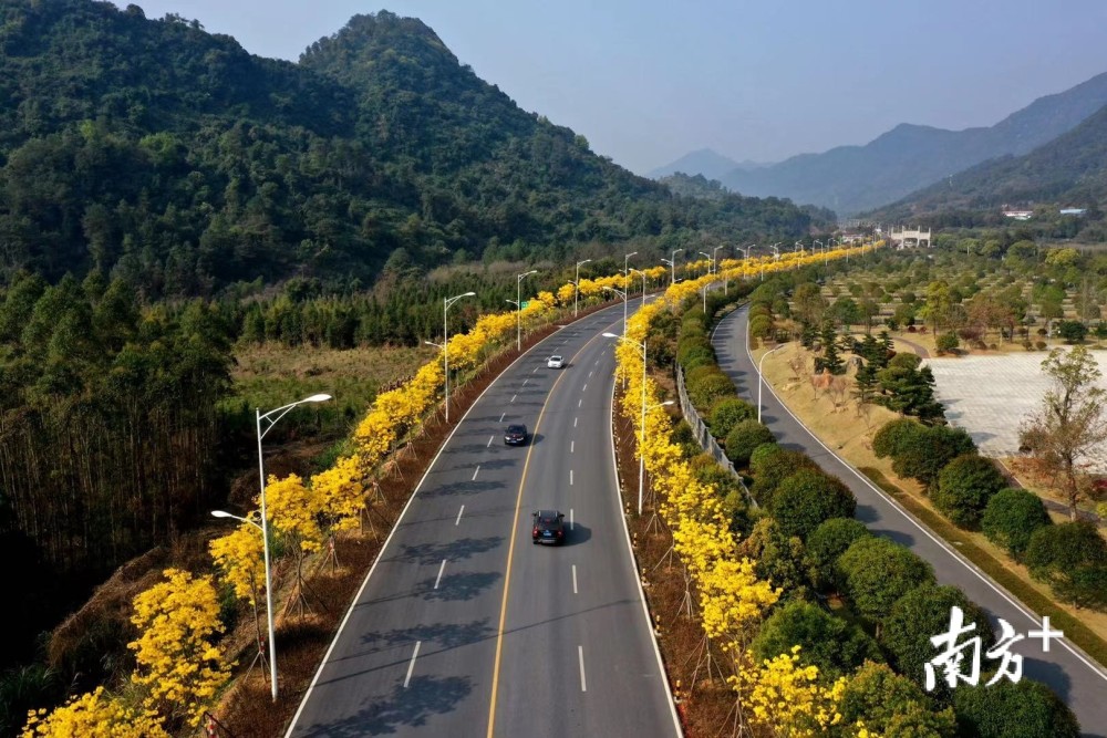 韶关乳源瑶乡惊现黄金路