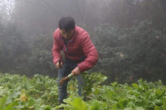 農村老話男不過三怕屬雞女不過四怕屬羊有道理嗎