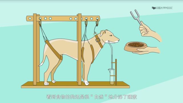 巴甫洛夫做的最出名的实验,无非就是巴甫洛夫的狗了.