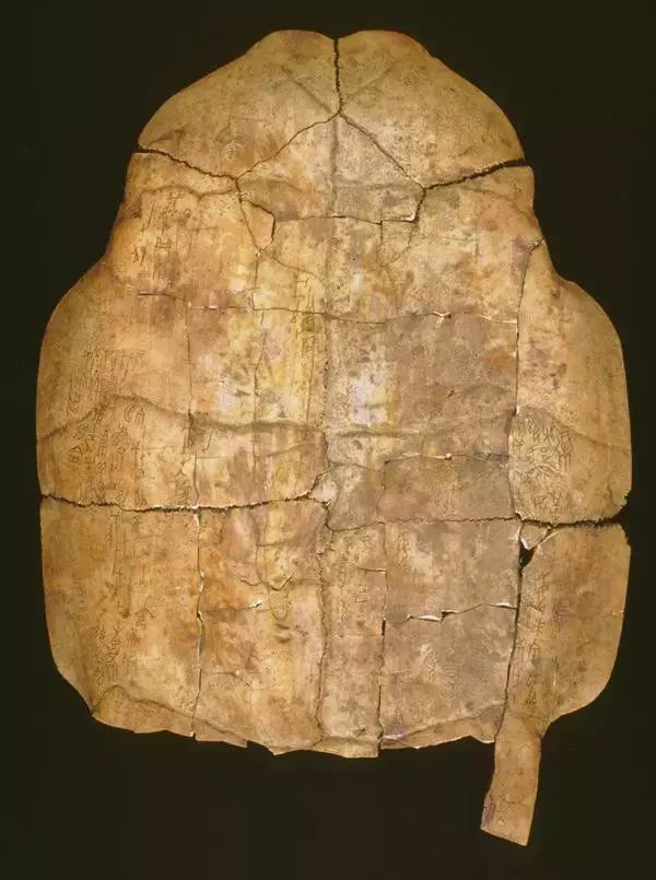 这种甲骨文是陕西省考古工作者在西安市西郊斗门乡花园村原始社会遗址