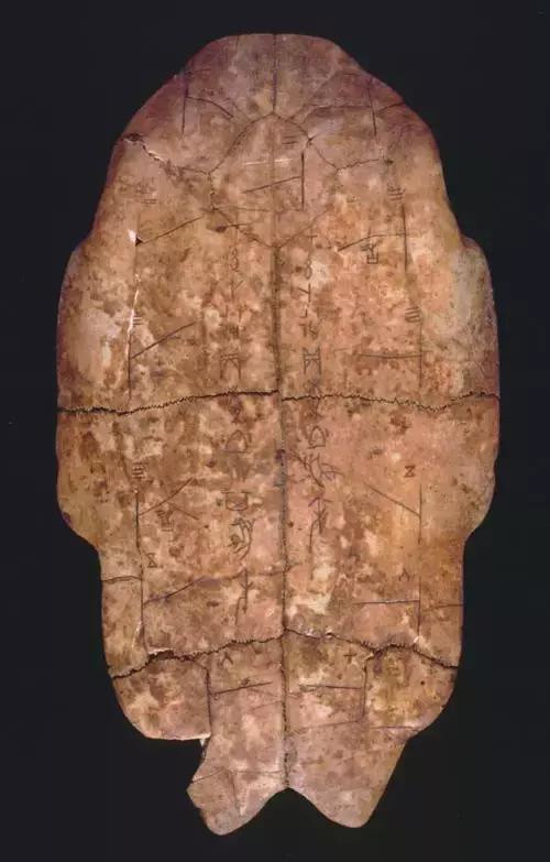 这种甲骨文是陕西省考古工作者在西安市西郊斗门乡花园村原始社会遗址