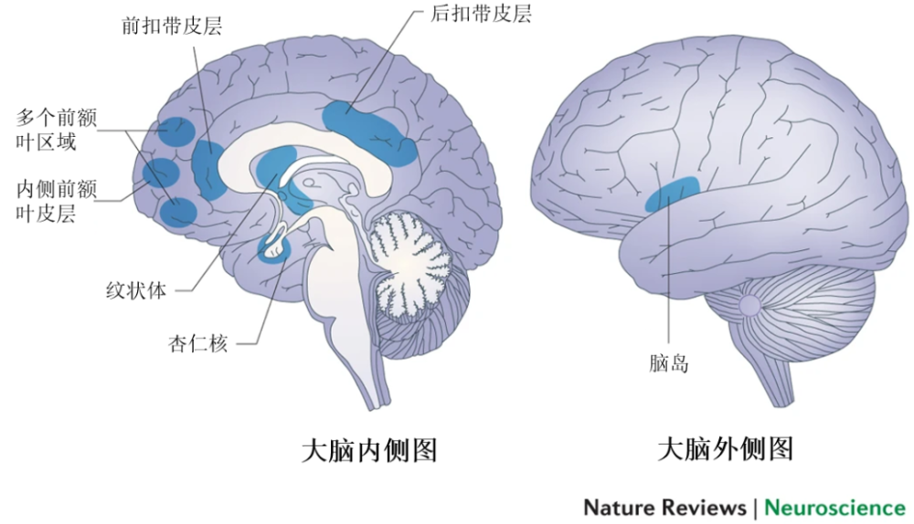 正念的脑科学正念如何让大脑变强大