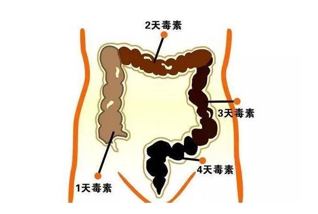 便意|几天排不出大便，身体没有便意，是什么情况？答案就在文中！