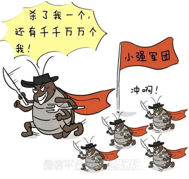 简直活脱脱一个"打不死的小强"真人版.