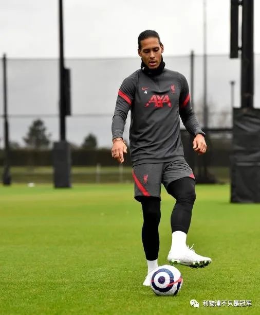 2月24日利物浦日报:范迪克恢复室外训练 若塔参加合练_腾讯新闻