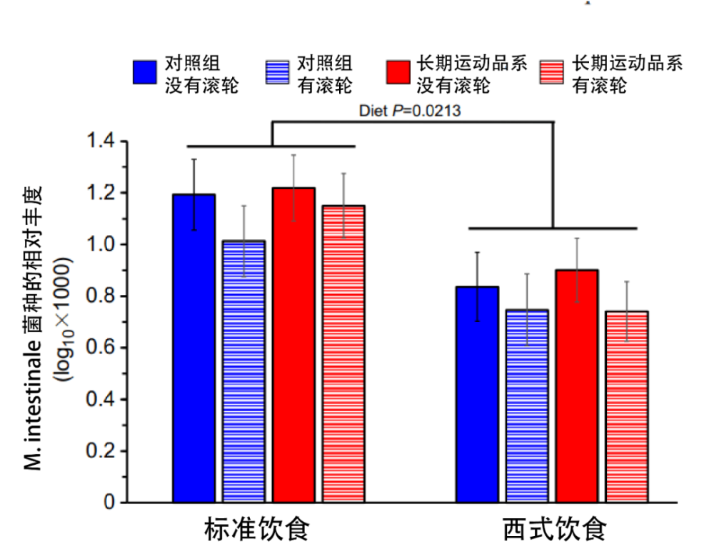 减肥|减肥一直成功不了，都怪小学贪吃的那口辣条？