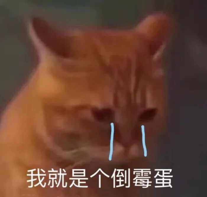 表情包鹅不晓得
