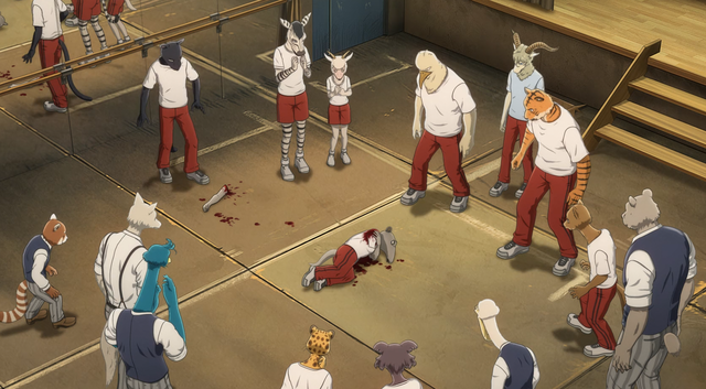 《beastars》咬杀事件真相大白,真相比想象的更残忍